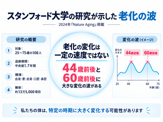 44歳と60歳で 老化は加速する？  最新研究から考える、40代・60代から 始めたい抗加齢ケア